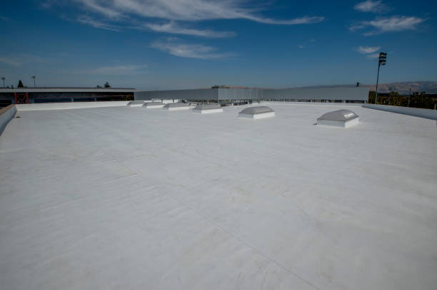 Best Hot Roofs  in Benld, IL