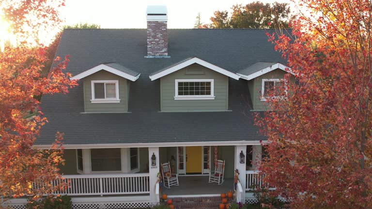Best Skylight Installation and Repair  in Benld, IL